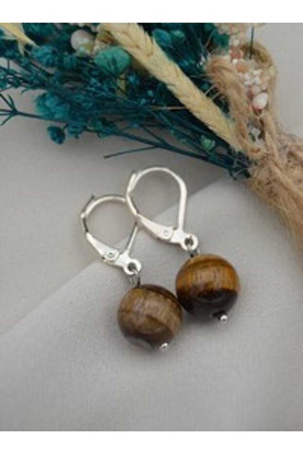Tiger's Eye Stone Earrings - Silver Color -