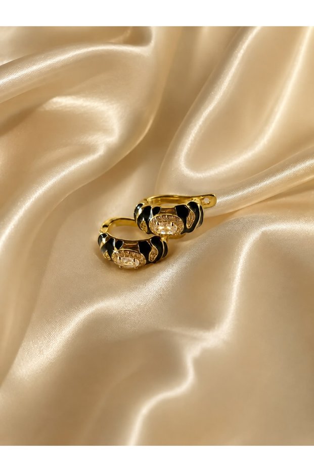 Women's Zircon Stone Steel Earrings