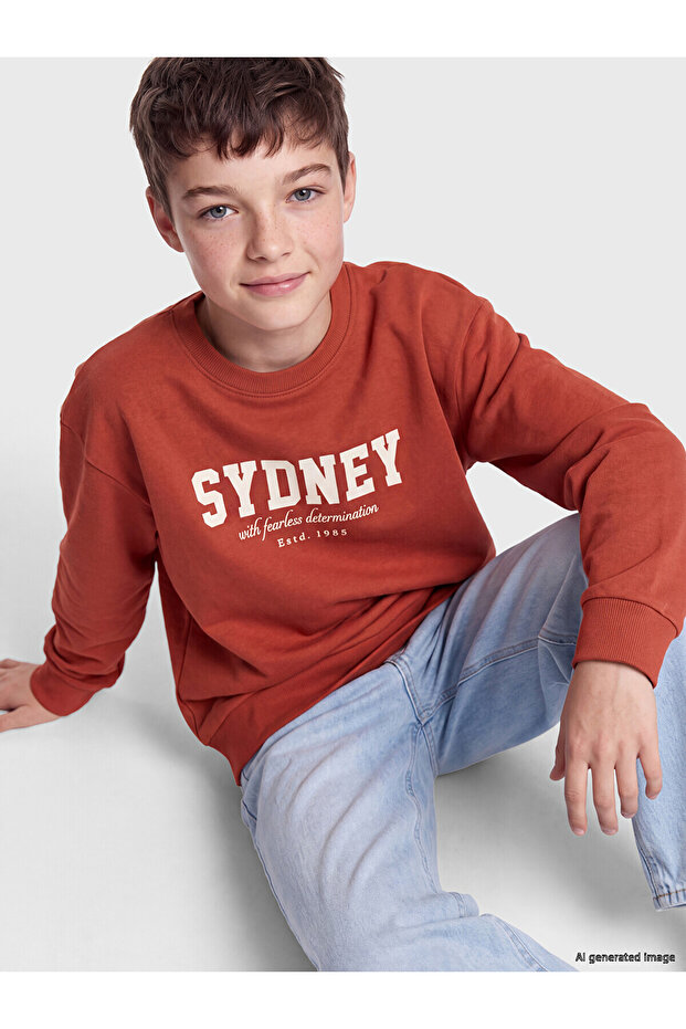Two Mt Shop Quality Lcw Kids Brown 3 Thread Boys' Sweatshirt