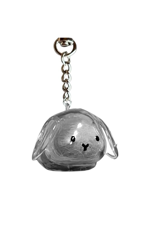 C Cute Rabbit Shape Transparent Rabbit Fur Storage Box Hair Storage Pendant Keychain Transparent Pet