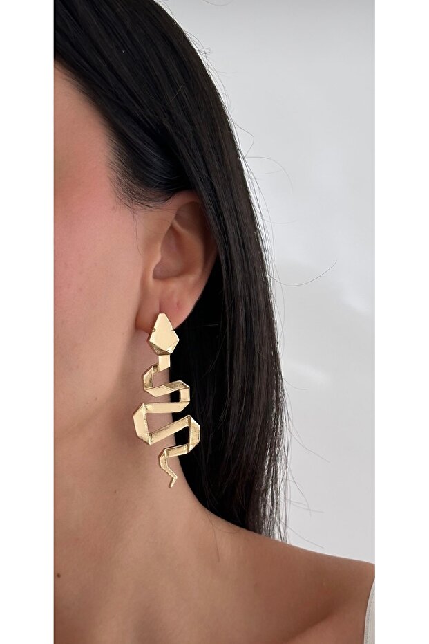Brand Model Snake Earrings (7 cm)
