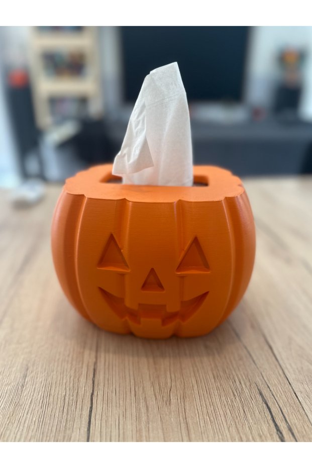 Decorative Napkin Holder & Tissue Box with Pumpkin Design