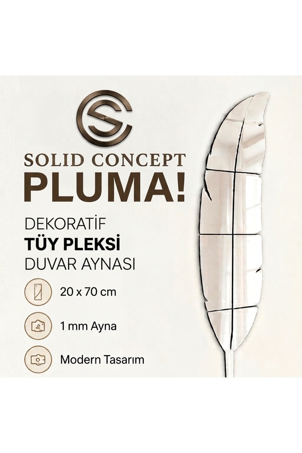 Solid Concept Pluma Aynalı Pleksi Duvar Dekoru
