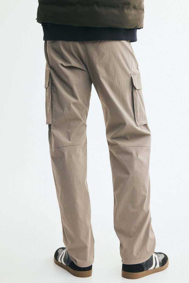 Regular Fit Cargo trousers