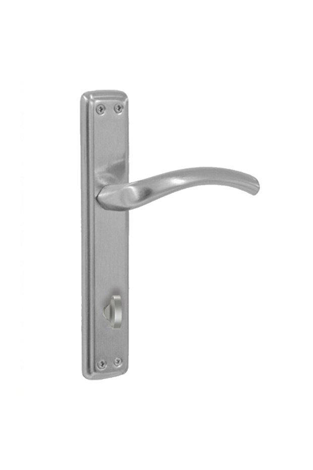 Doğanlar Curved Satin Door Handle Mirrored Wc (Tk)