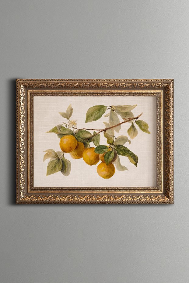 Oranges on a Branch - Vintage Patterned Painting - Thick Model
