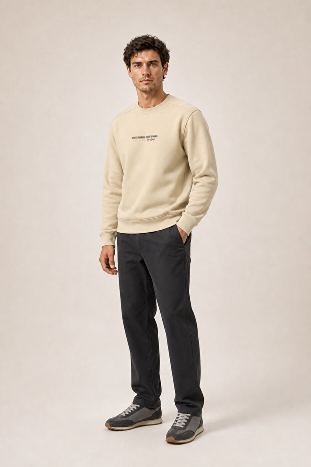 Takes Crew Neck Winter Regular Fit Sweatshirt Beige