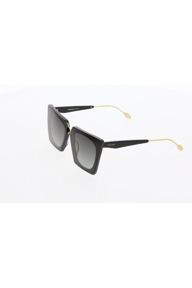 3411 C01 Sunglasses