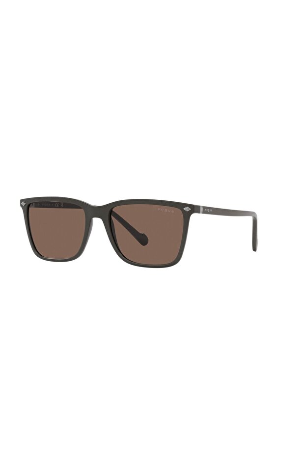 5493S 305773 56 Sunglasses