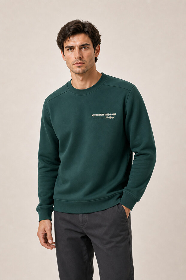Takes Crew Neck Winter Regular Fit Sweatshirt Nefti