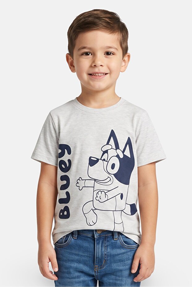 Kids Boy Graphic Print Short Sleeve T-Shirt, Grey