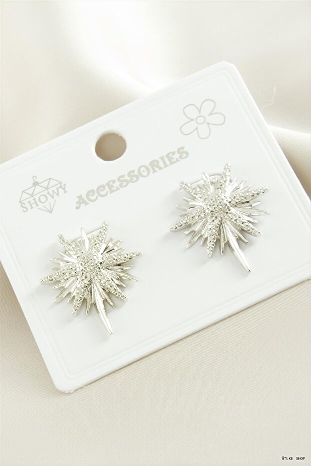 Ilkestor Star Metal Earrings (204555) Silver Color