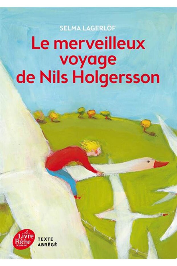La Merveilleux Voyage De Nils Holgerson