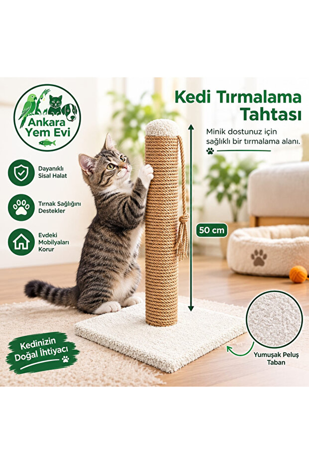 Cat Scratching Board