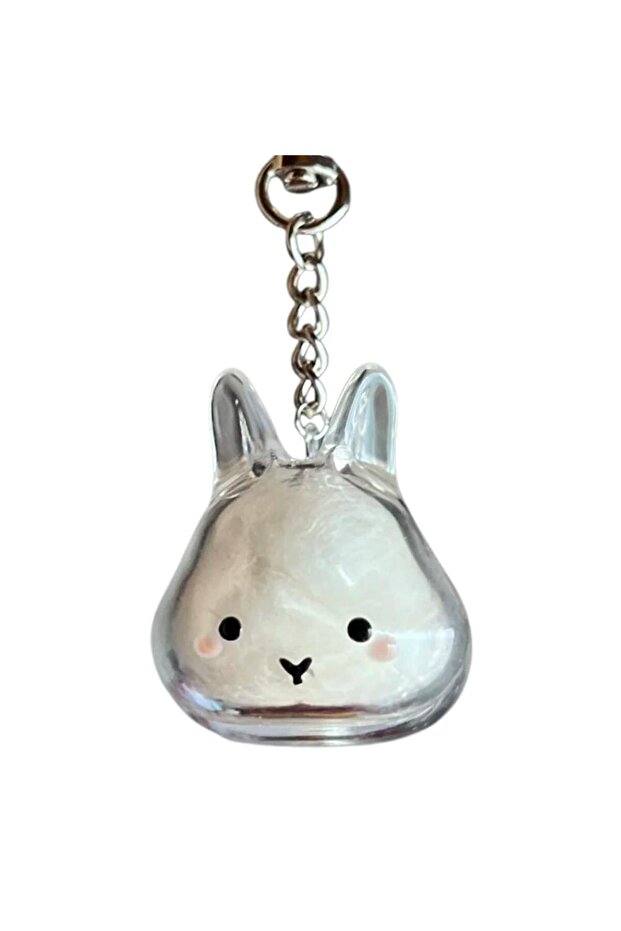 A Cute Rabbit Shape Transparent Rabbit Fur Storage Box Hair Storage Pendant Keychain Transparent Pet