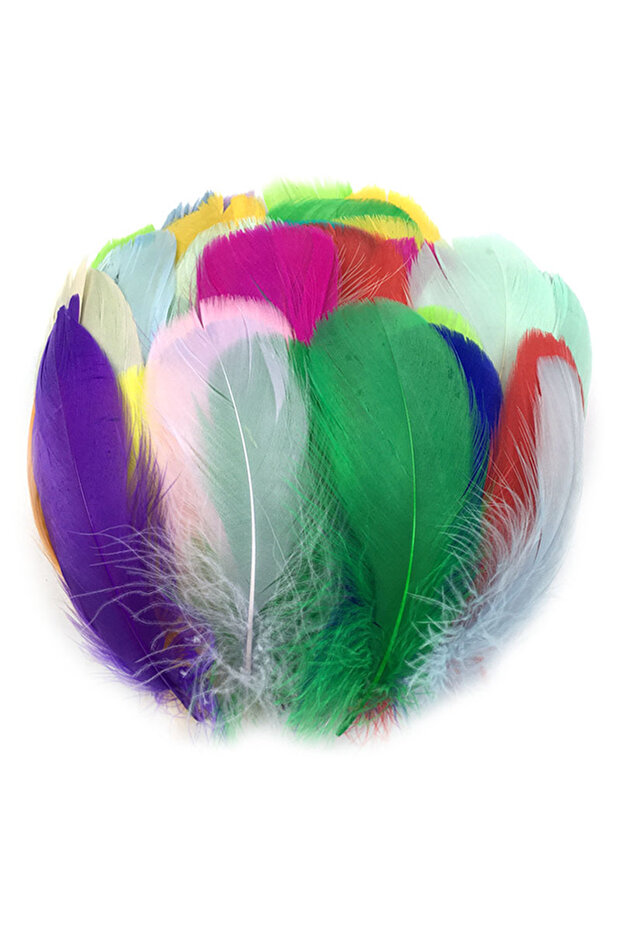100PCS Random 100-400PCS Colorful Turkey Feathers for DIY Art Craft Project Bright Artificial Feathe