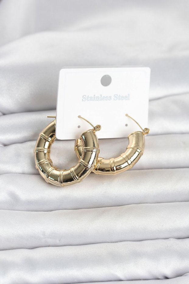 316L Steel Gold Color Bamboo Model Hoop Women's Earrings