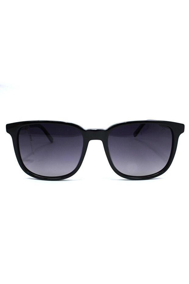 8260 C2 53 Polarized Sunglasses
