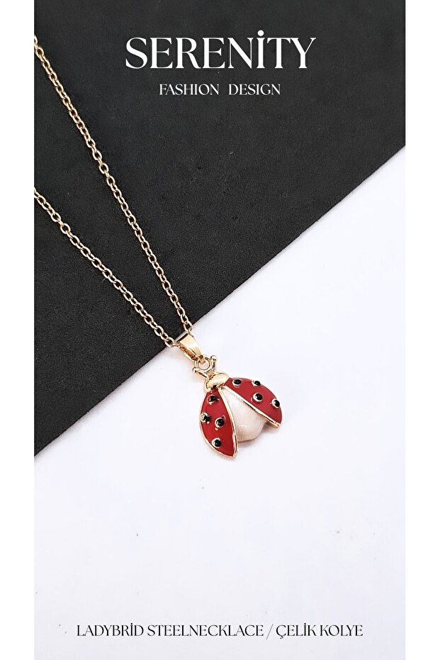 Steel Necklace with Winged Ladybug Figure