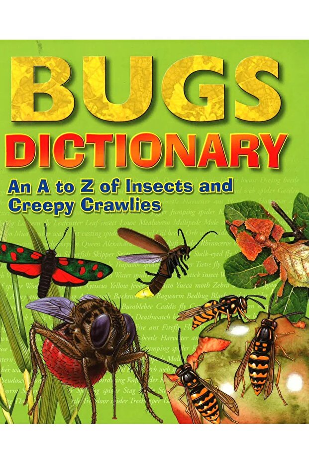 Bugs Dinosaur Dictionary