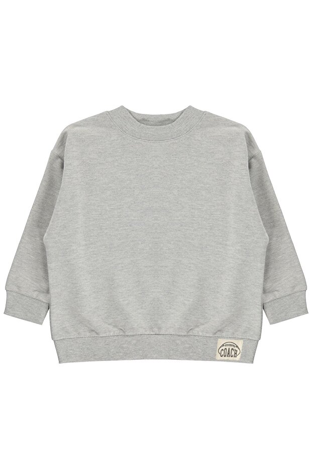 Basic Sweatshirt for Ages 2-5 - Gray