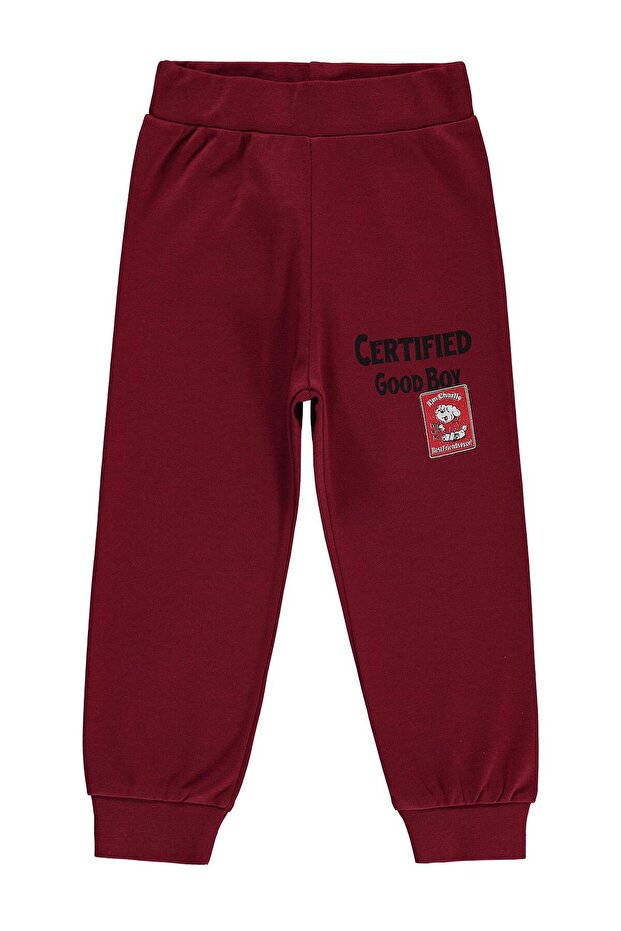 Certified Printed Sweatpants for 2-5 Years Old - Burgundy