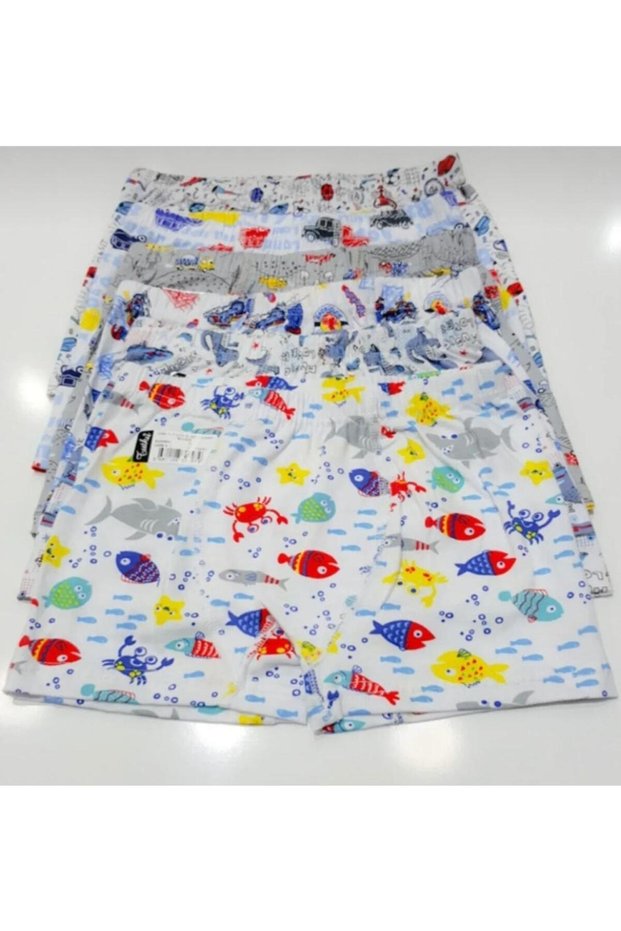 Boy's 3-Piece Mixed Printed Lycra Elastane Cotton Boxer 0253