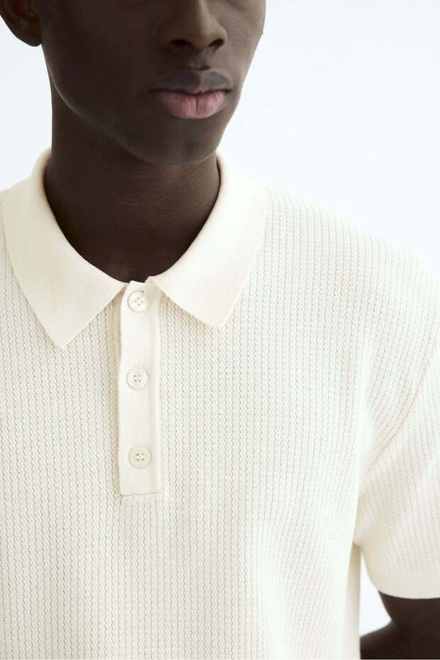 Regular Fit Knitted polo shirt