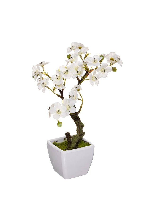 Blossom Mela Artificial Plant W/Pot (18 x 18 x 26 cm)