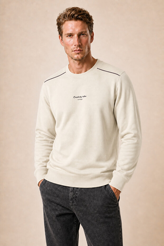 Qwen Crew Neck Regular Fit Winter Sweatshirt Stone