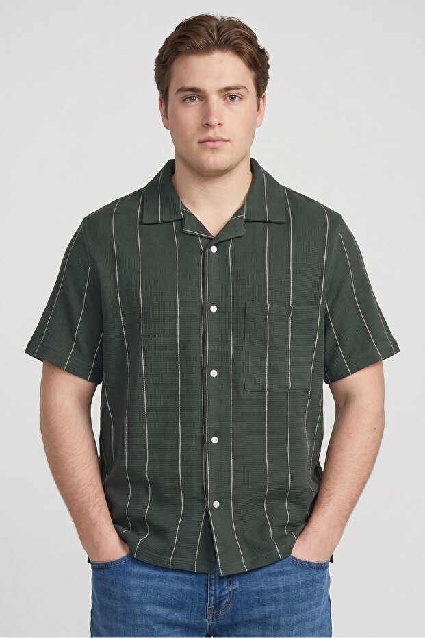 Men Regular Fit Stripe Short Sleeve Casual Shirt, Green