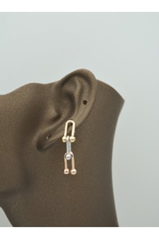 Chain Earrings - Multicolor -