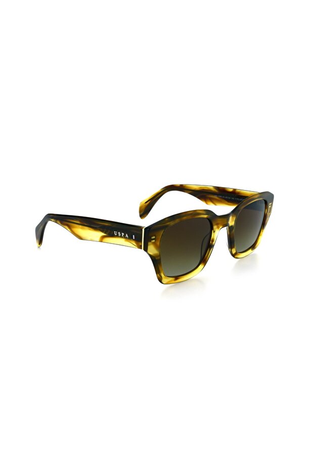 Us polo 0299 c3 sunglasses