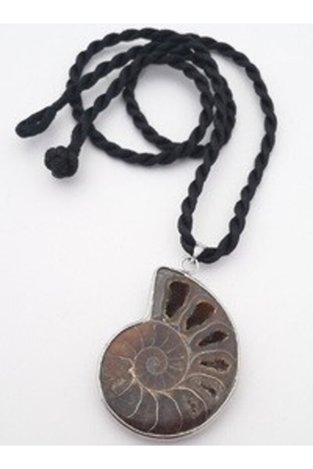 Ammonite Fossil Natural Stone Necklace - Brown -