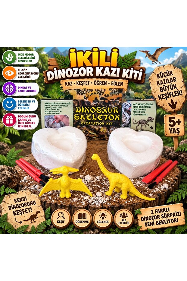 Double Heart Shaped Dinosaur Excavation Toy Activity Activity Project Set