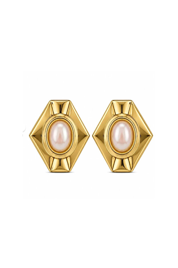 Steel Agata Earrings