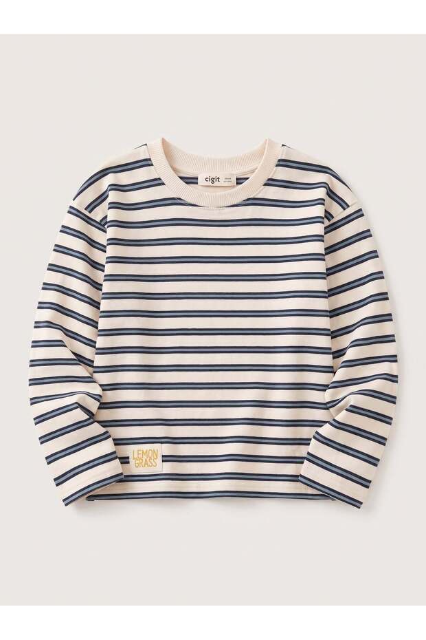 Striped Seasonal T-Shirt 1-10 Years Old Blue Navy Blue Striped