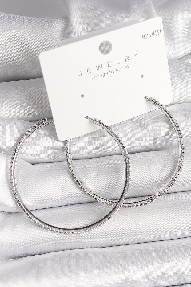 Brass Silver Color Zircon Stone Hoop Model Women's Earrings - Tj-Bkp10016