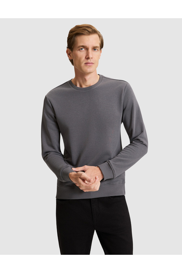 Anthracite Regular Fit Basic Sweatshirt 50334023-Vr006