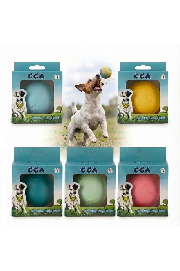 Dog Play Ball 1 Piece