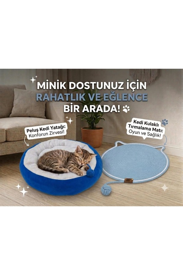 Cat & Dog Bed and Mat Scratching Play Mat