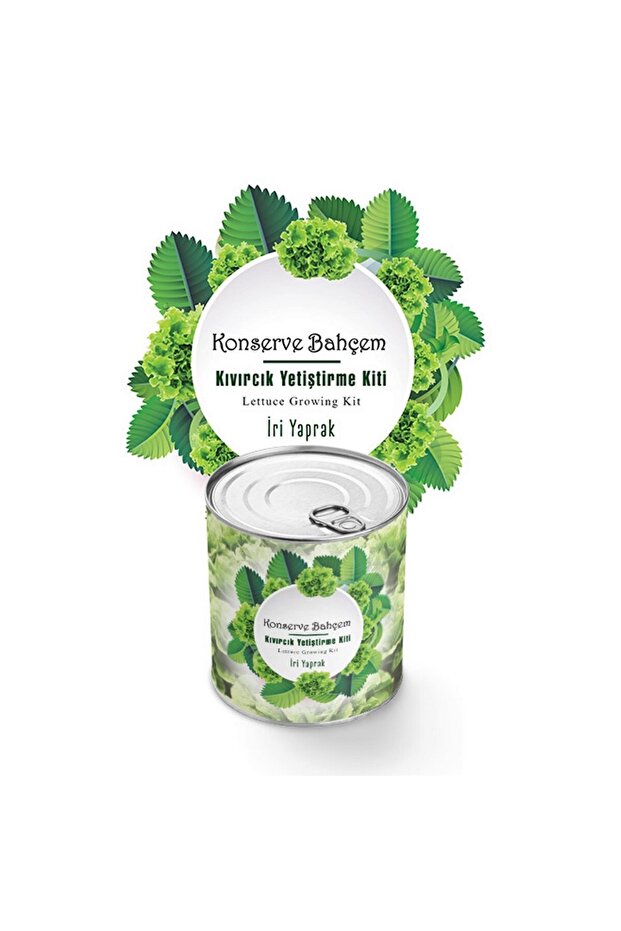 ® Canning My Garden at Home Canning Thick Leaf Curly Growing Kit