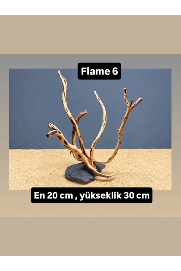 Flamewood 6