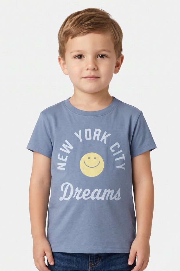 Toddlers Boy Graphic Print Short Sleeve Top, Grey
