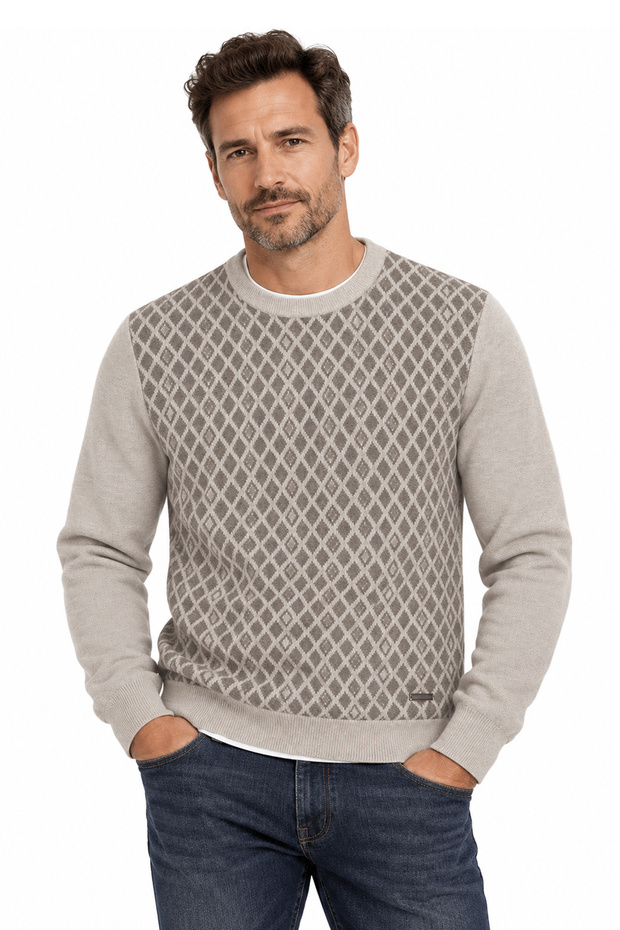 Men's Crew Neck Patterned Sweater