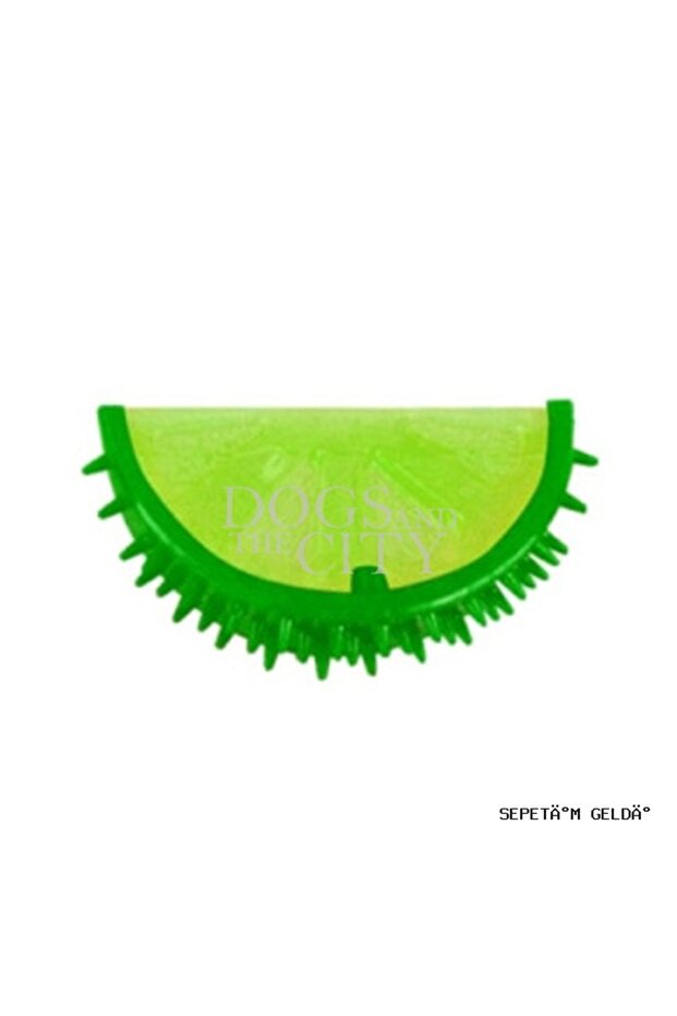 Spt-Gld (160639) Dog Summer-Lemon