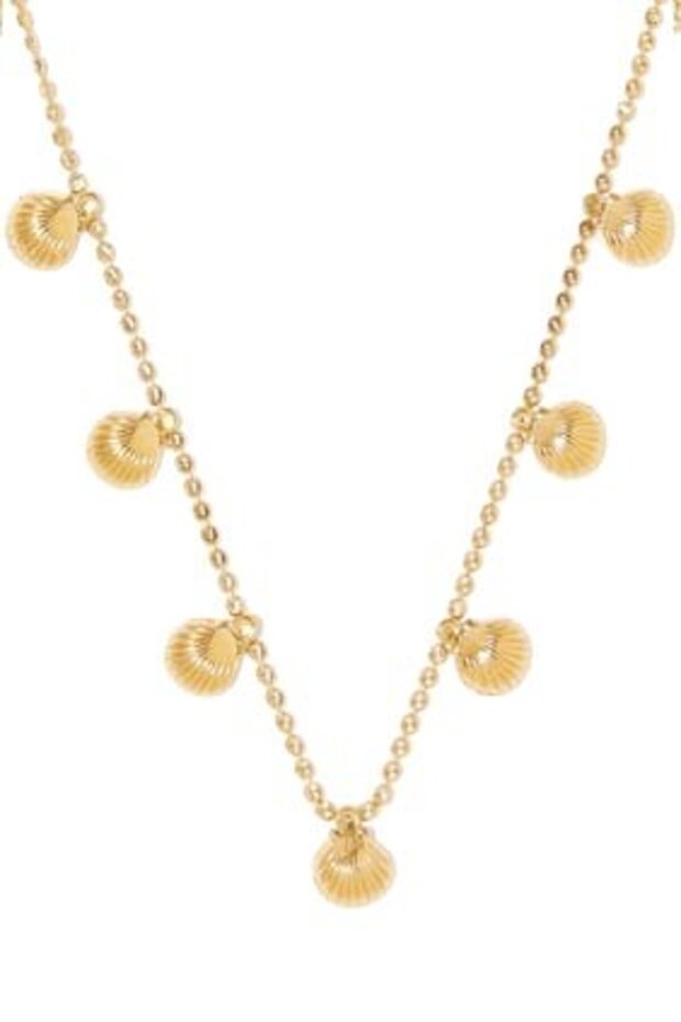 Petite Shell Choker Necklace