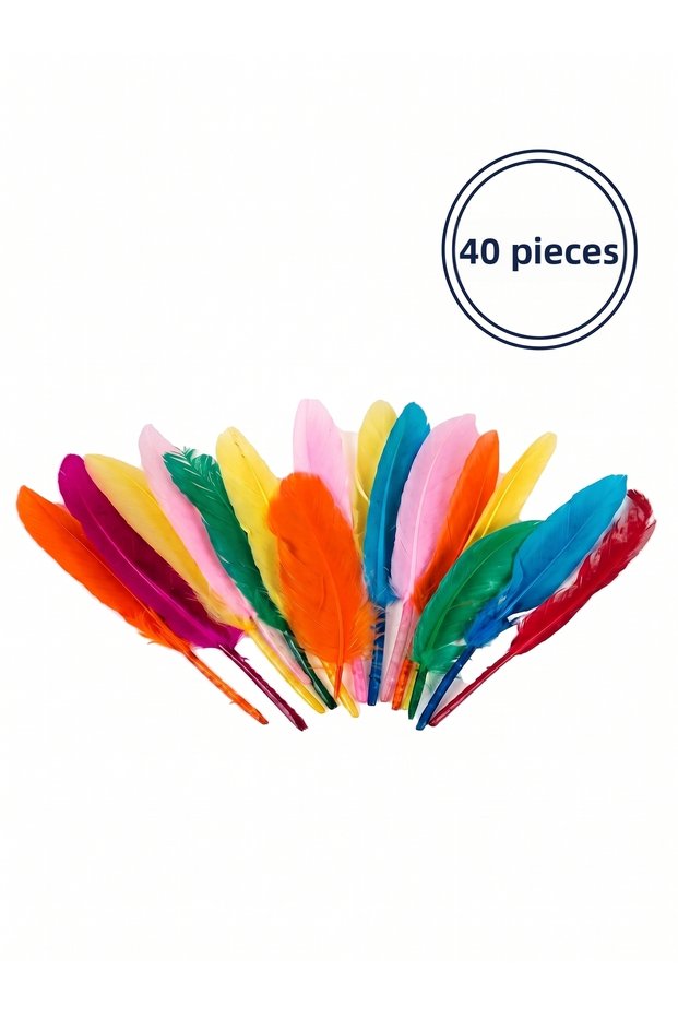 White Feather Colorful Decorative Feather Ornament Feathers Hobby Handicraft Party Costume Accessory Ornament