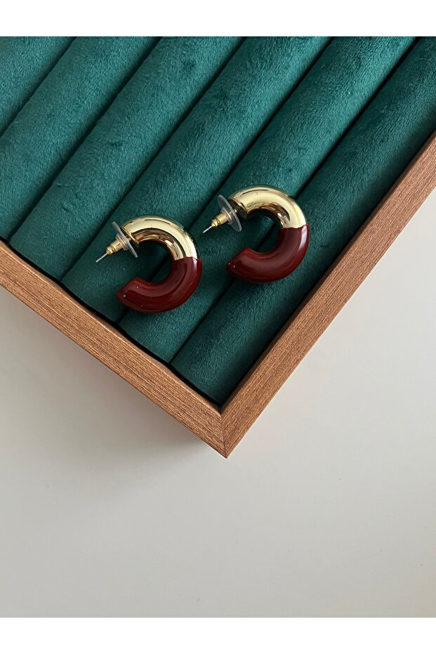 Burgundy and Gold Color Detail Ring Plate Earrings