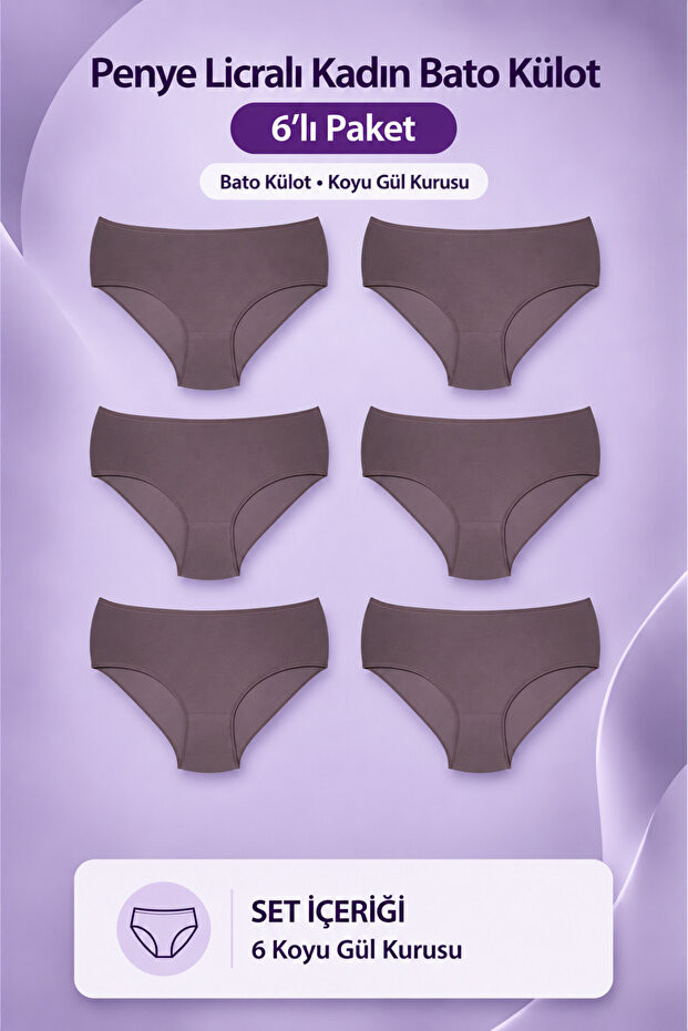 Combed Cotton Lycra Women's Bato Panties 6-Piece - Dark Dusty Rose